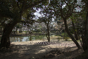Izumo Taisha Shrine