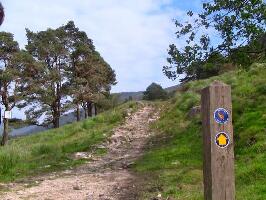 Dundalk Ireland Walk