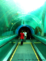 Rayong Thailand Aquarium
