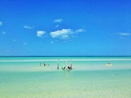 Transfer to Holbox Island