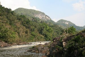 Elijio Panti National Park