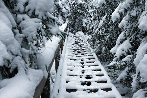 Espoo Finland National Park