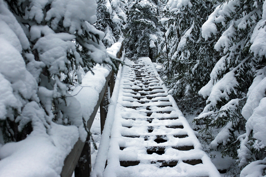 Nuuksio National Park