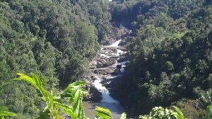 Fianarantsoa Madagascar National Park