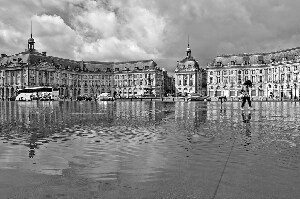 The Water Mirror