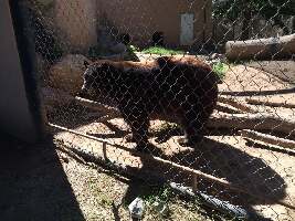 Alamogordo United States Zoo