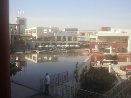 Egypt Egypt Festival