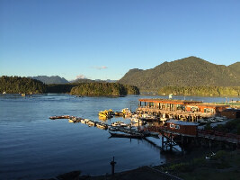 Tofino Food Tours