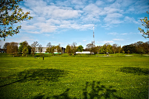 London Fields Park
