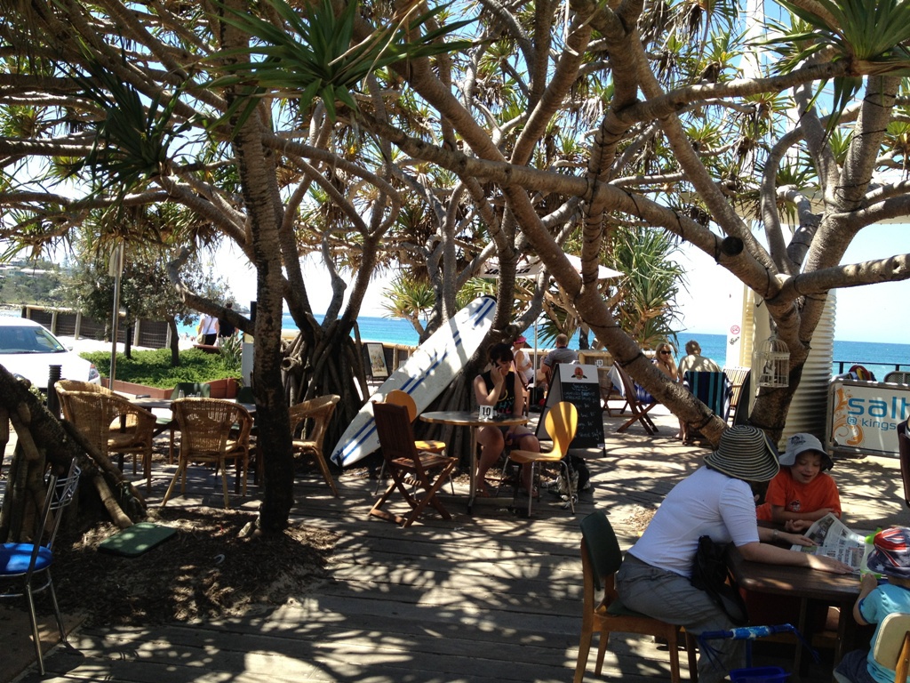 Coffee Cat on Kings Beach