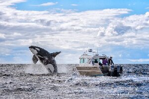 Adventure Quest Tours Canada Inc