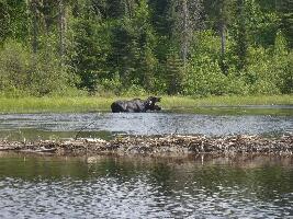Canoe Canada Outfitters