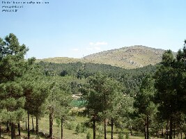 Tehran Iran National Park