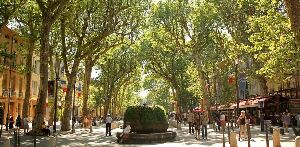 Aix-en-Provence  France Forest