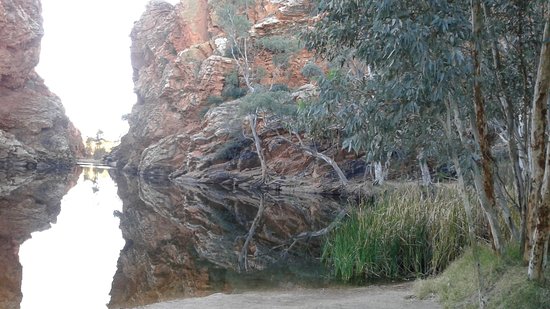 Alice Wanderer Day Tours