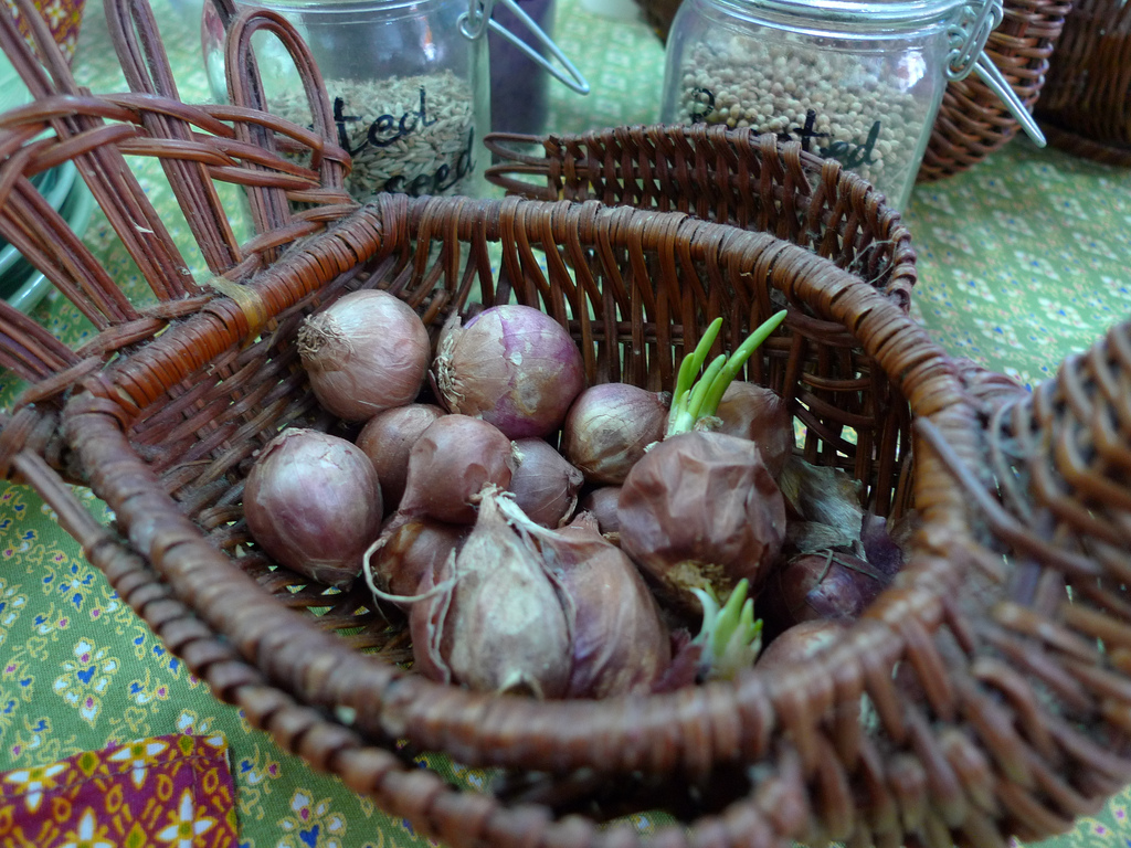 Sompong Thai Cooking School