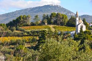 Nice Wine Tours by Grape Tours