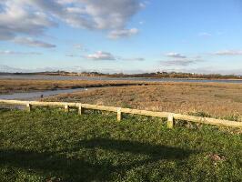 Wyre Estuary Country Park