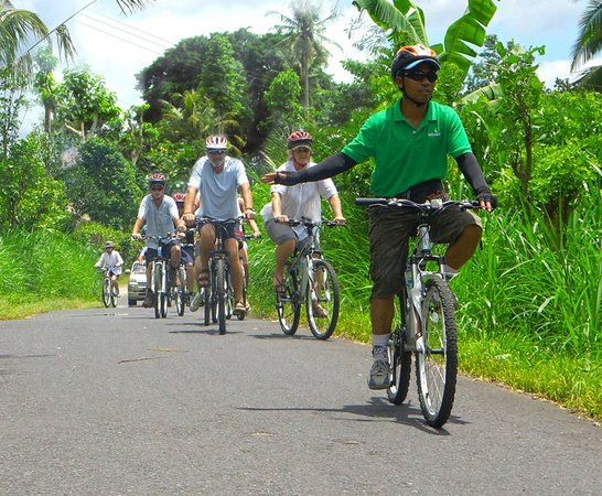 Greenbike Cycling Tour