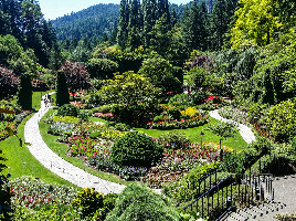 The Butchart Gardens