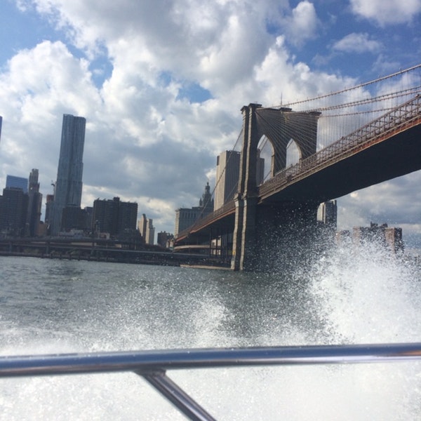 Shark Speedboat Tour
