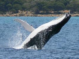 Dunsborough Australia Natural