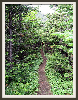 Cedar Cove Hiking Trail