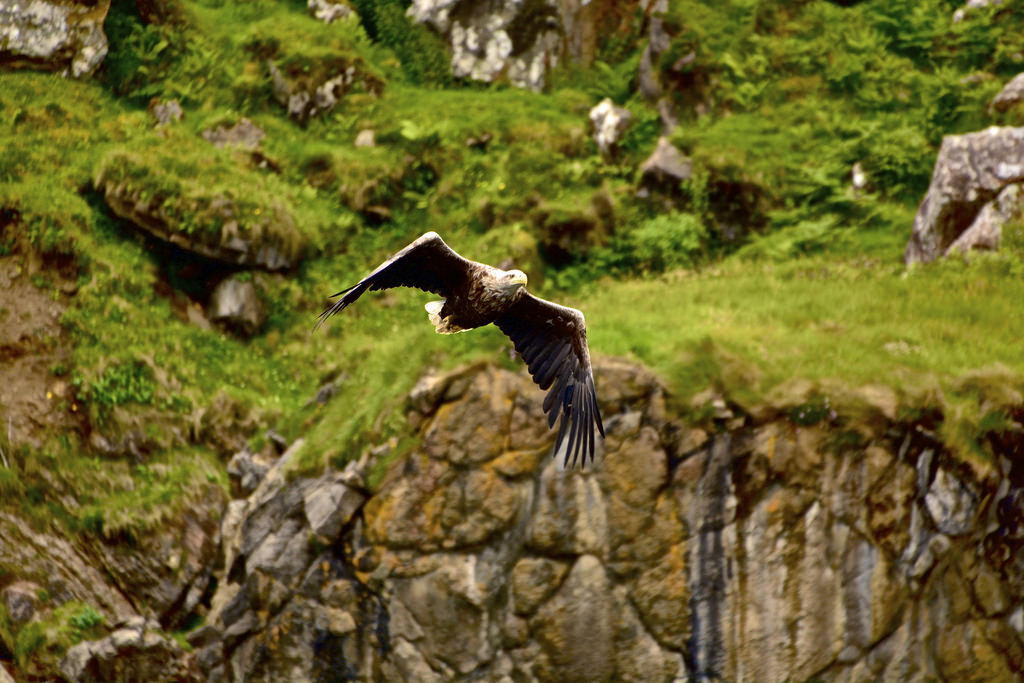 Skye Tours