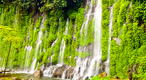 Cotabato Province Philippines Cave