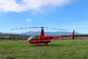 Point Helicopters