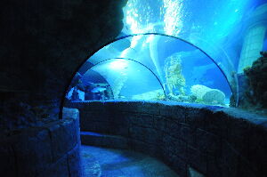 SEA LIFE Porto