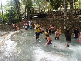 Yardie Tours