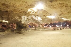 Tourwise Ltd. Private Tours