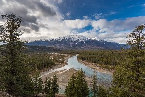 Old Fort Point Loop Trail