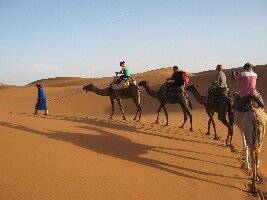 Camel Trek Tours Morocco
