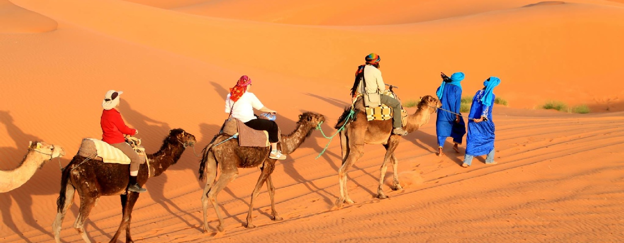 Morocco Exotic Tours - Day Tours