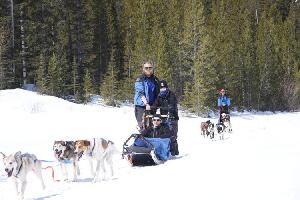 Howling Dog Tours