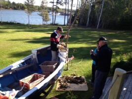 Belfast Canada Experience