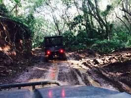 Lihue United States Ranch