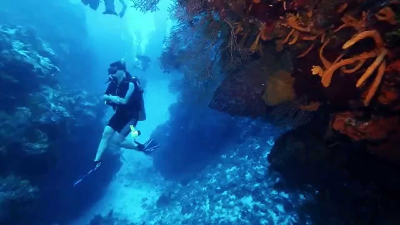 Silver Divers Cozumel