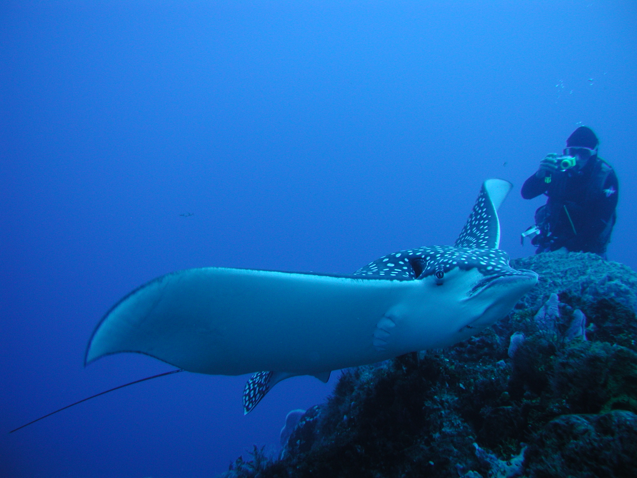 Cozumel Sea Dive Shop
