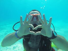 Sharm  El Sheikh Egypt Dive