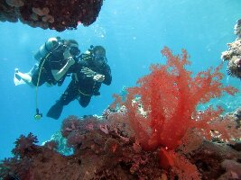 Eazy Divers