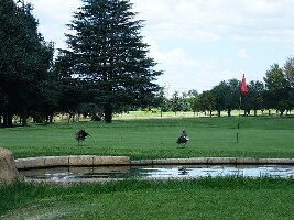 Johannesburg South Africa Golf