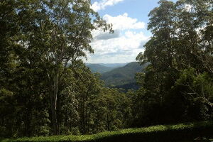Queensland Australia National Park
