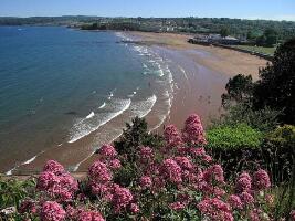 Roundham Head - South West Coast Path Walk