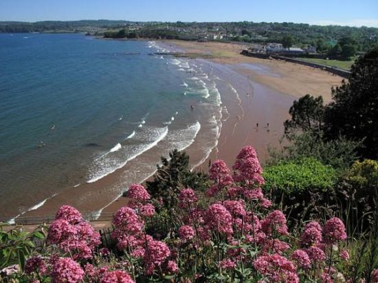 Roundham Head - South West Coast Path Walk