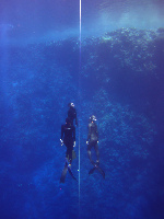 Dahab Freedivers