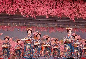 Osaka Japan Experience