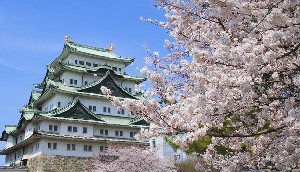Soy Travel Japan